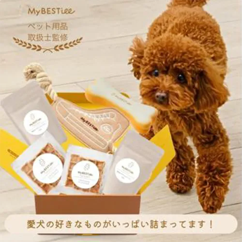 人気のおやつとおもちゃが、ひとつのBOXに！わんちゃんプレゼントBOX